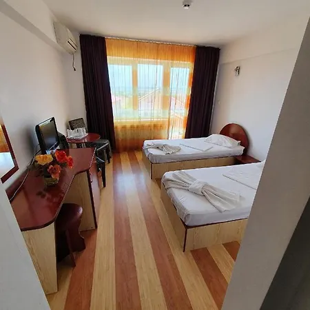 Steluta Guest house *