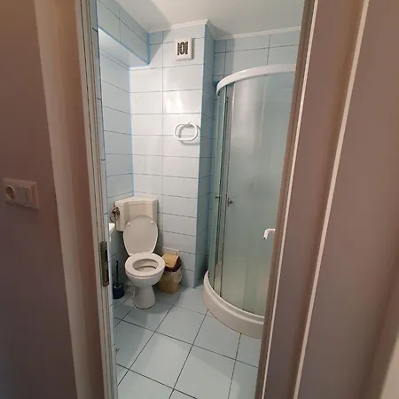 Steluta Guest house *