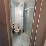 Steluta Guest house 4*