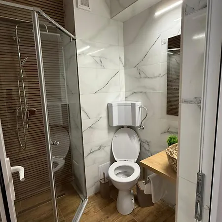 Guest house Steluta 3*