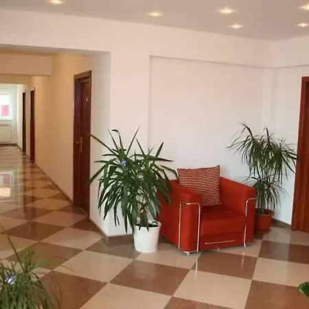 Steluta אפורי נורד