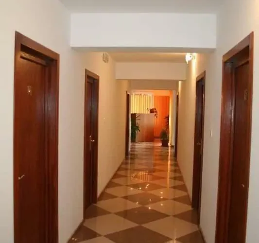 בית הארחה Steluta